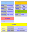 Schema per le forme verbali